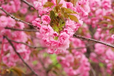 常州武进区8线下个人借款平台一站式服务，轻松解决资金难题