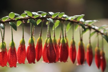 常州武进区8零用贷短借：轻松解决临时资金需求