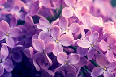 常州武进区8企业急用钱贷款攻略：快速融资解燃眉之急